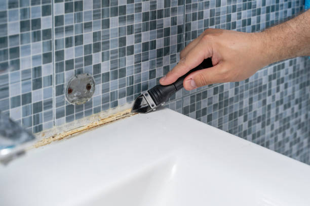 Best Home Mold Removal  in West Haven, UT